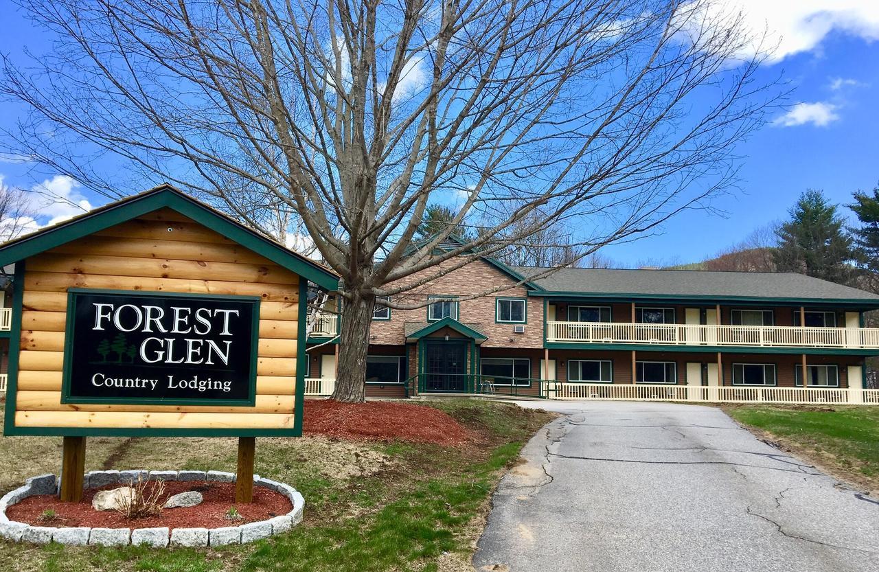 Forest Glen Inn North Conway Ngoại thất bức ảnh